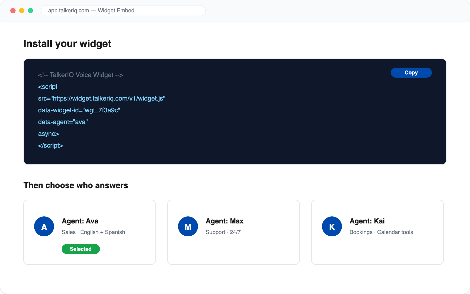 TalkerIQ dashboard showing the website widget embed snippet ready to copy